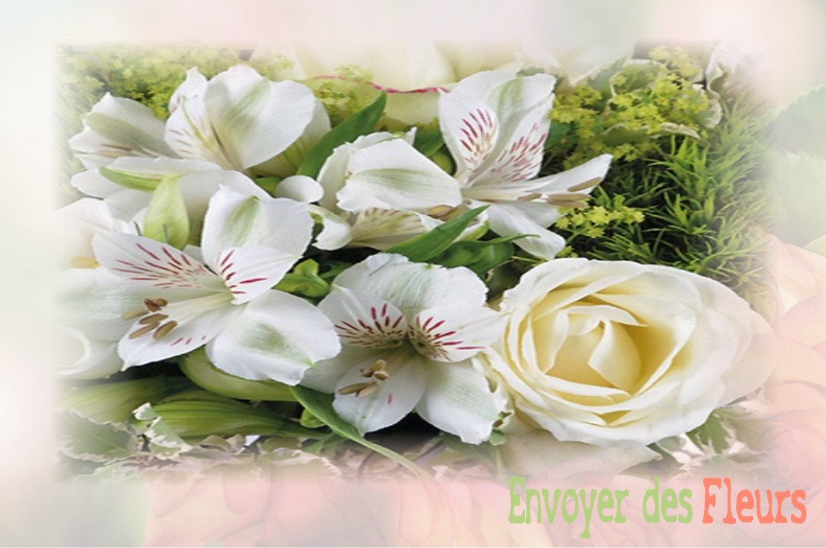 envoyer des fleurs à à SAINT-DENIS-DES-MURS